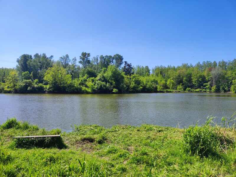 Teich 34