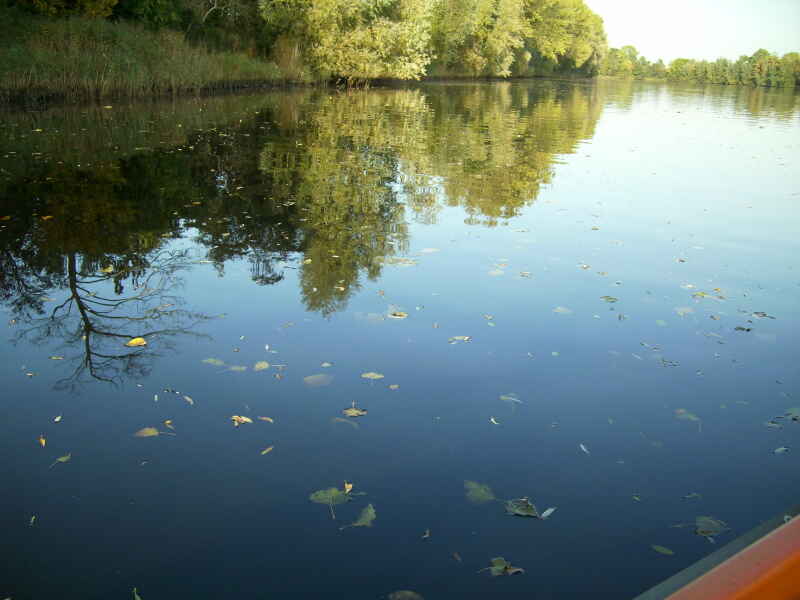 Eider bei Erfde (km 47,0 - 52,0)