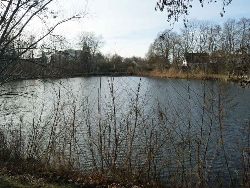 Tonkuhlen der Stadt Sarstedt (Bürgerpark)