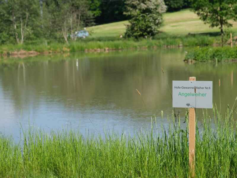 Hofe-Gewanne-Weiher (Weiher Nr. 7) Heidenheim