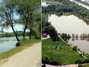 Salzachsee (9)
