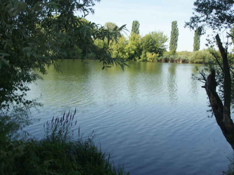 Öberauer Schleife