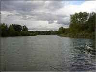 Bienroder See