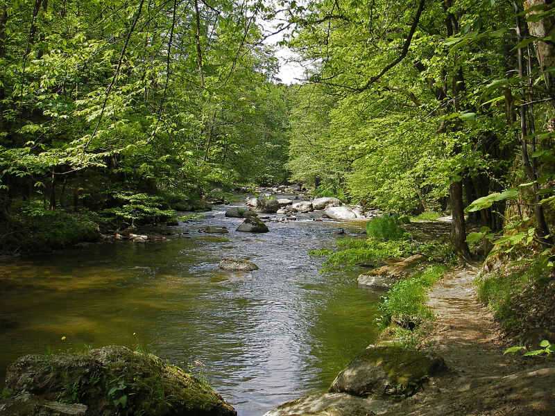 Feldaist bei Pregarten