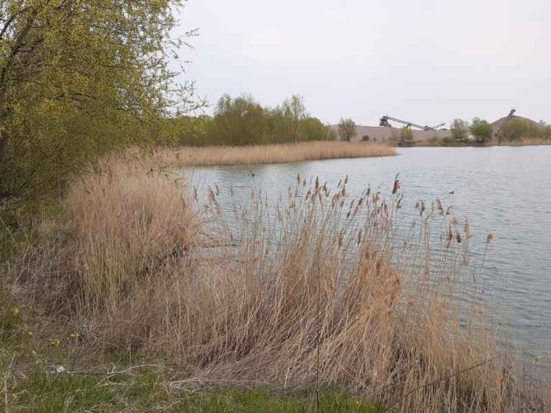 Kiessee K2 Bad Frankenhausen