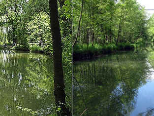 Riedersbacher Lacken (13) mit Unterer Moosach