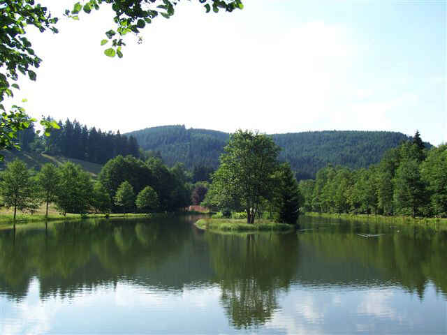 Untere See der Teichanlage Friedrichstal