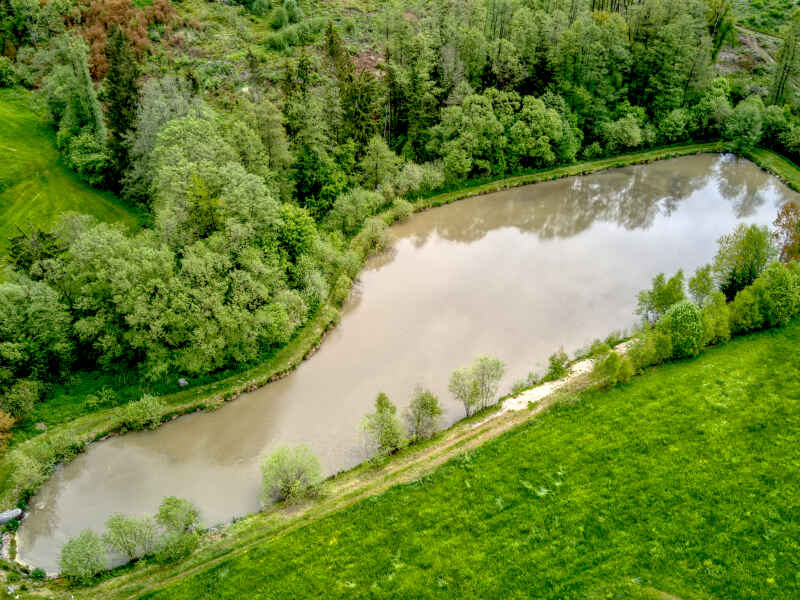 Bichlwaldweiher