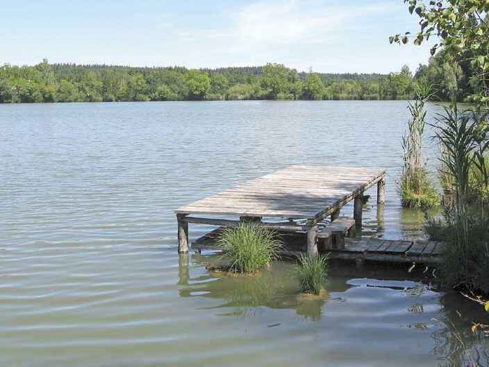 Mühlweiher (Kombikartengewässer)