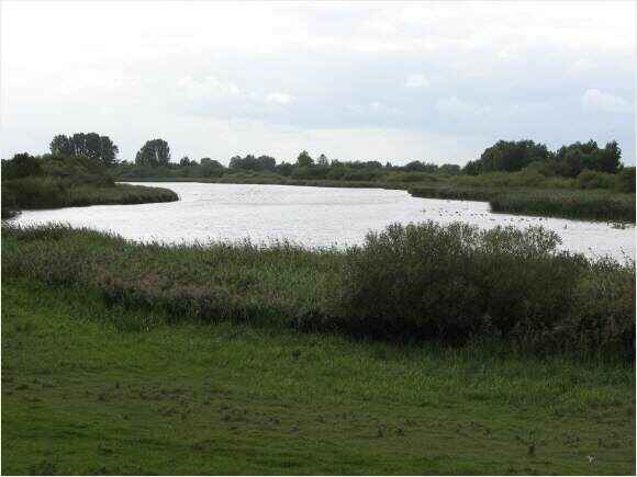 Ems (Dortmund-Ems-Kanal)