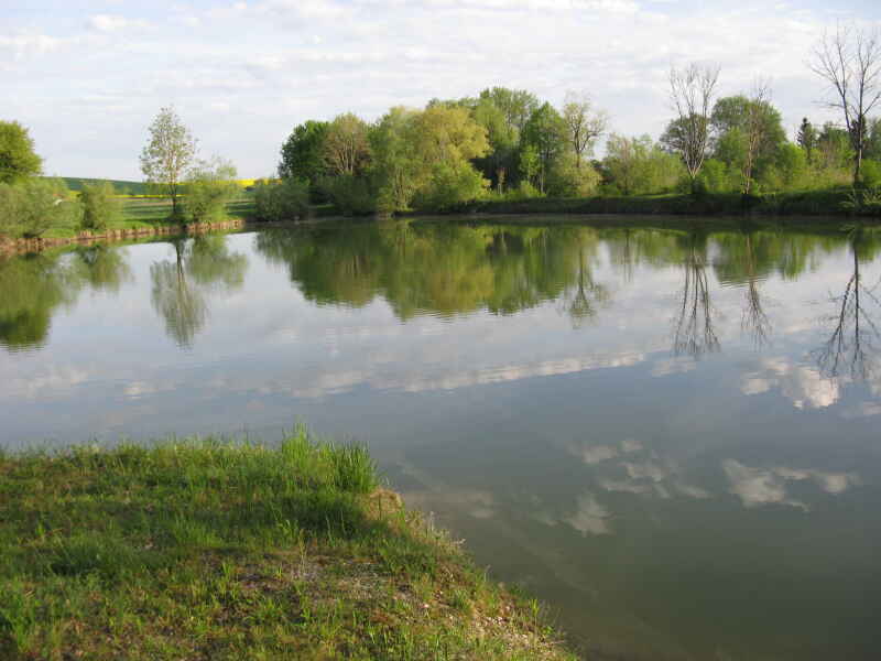 Schwarzweiher bei Jarzt