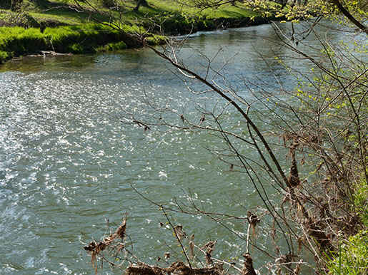 Alter Rhein I