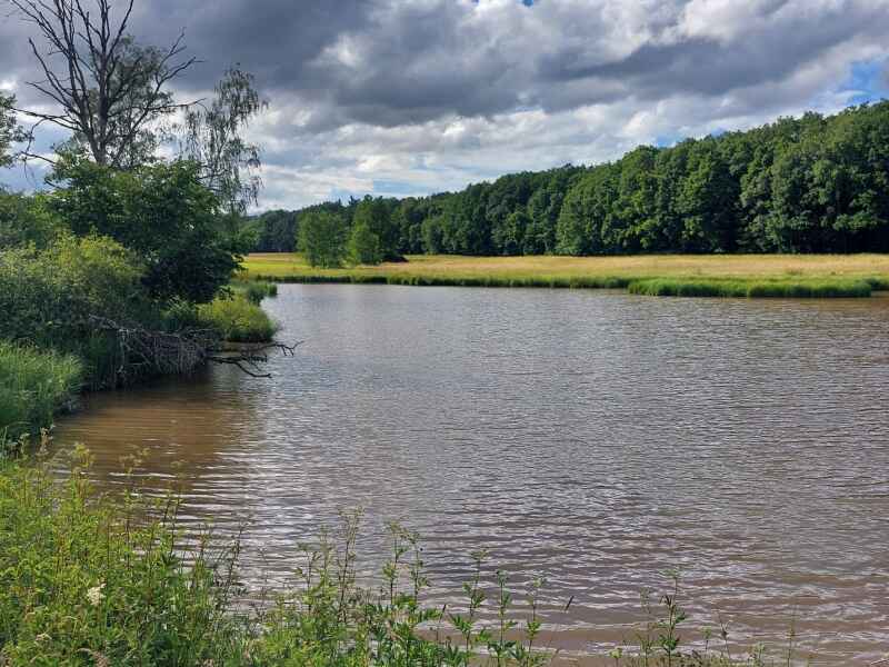 Kesselweiher