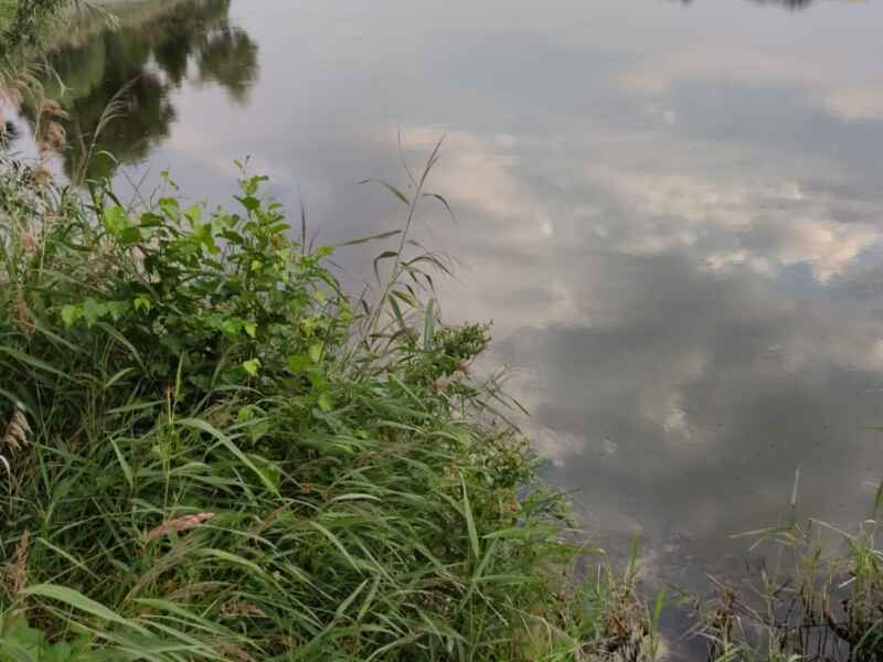 Kiesgrube Waldfrieden bei Zerbst