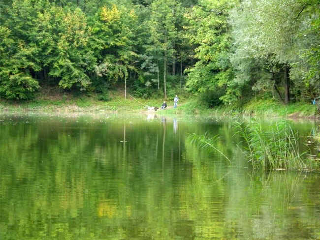 Lebererteich (11)
