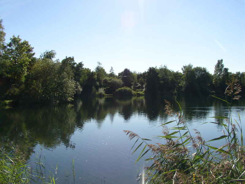 Sonnenberg