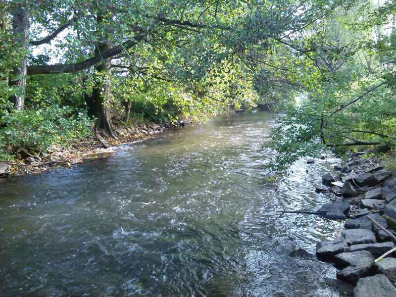 Gersprenz bei Harreshausen