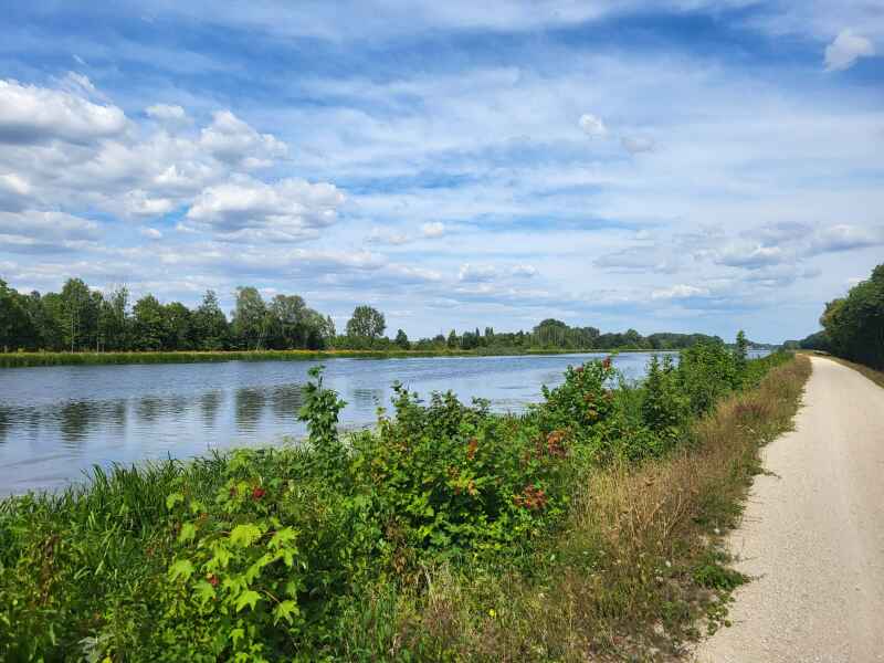 Donau bei Dillingen