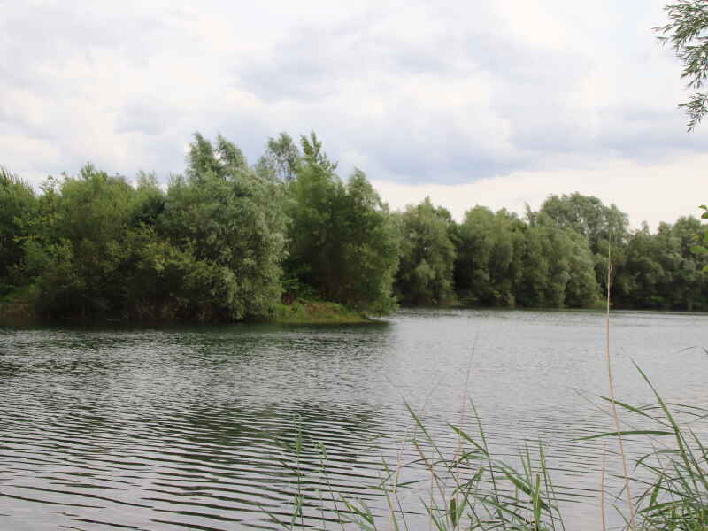 Lindenallee (Brassenloch)
