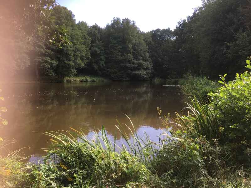 Weiher 2