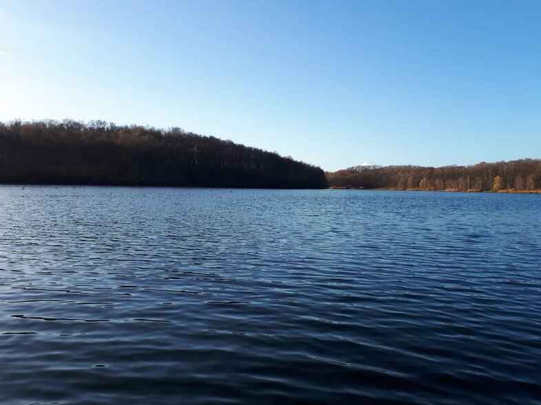 Waldsee Baerler Busch