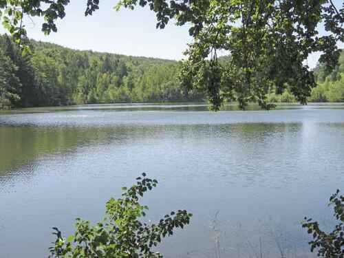 Kreuzweiher