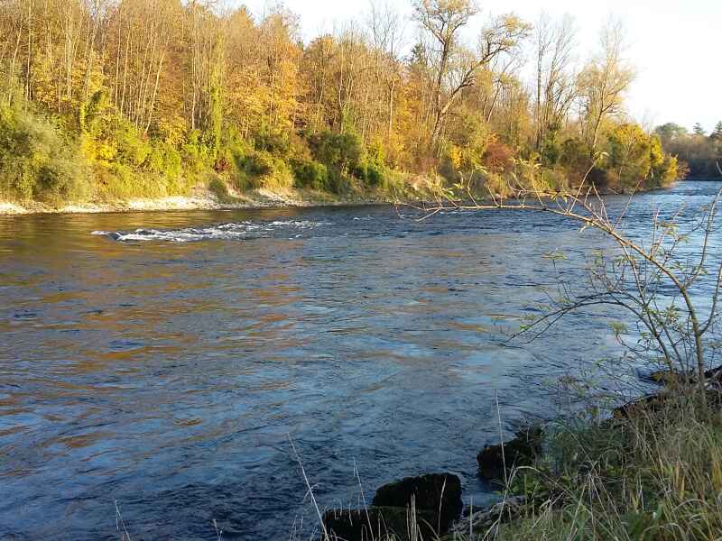 Untere Traun Lambach Revier 4