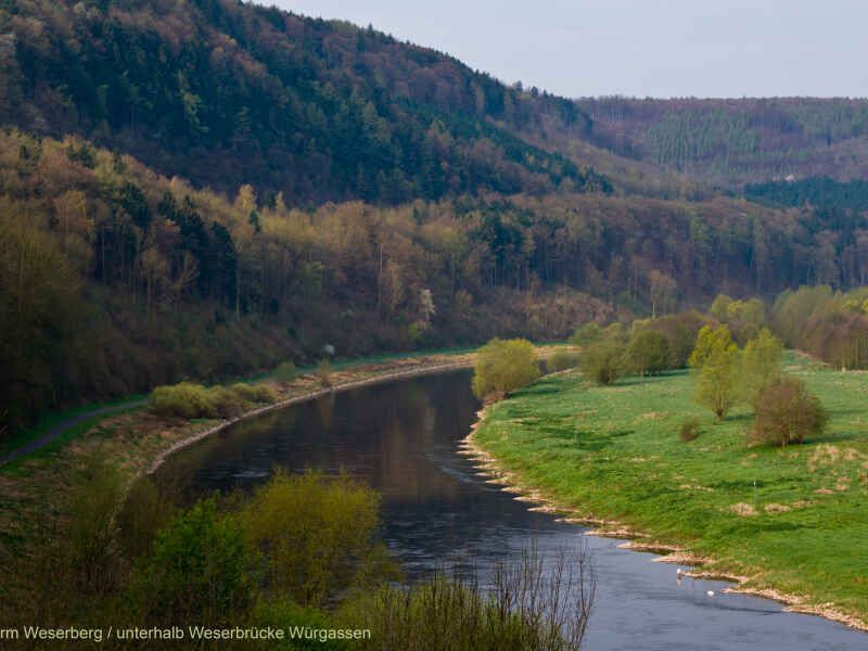 Weser von Bad Karlshafen bis Blankenau/Meinbrexen