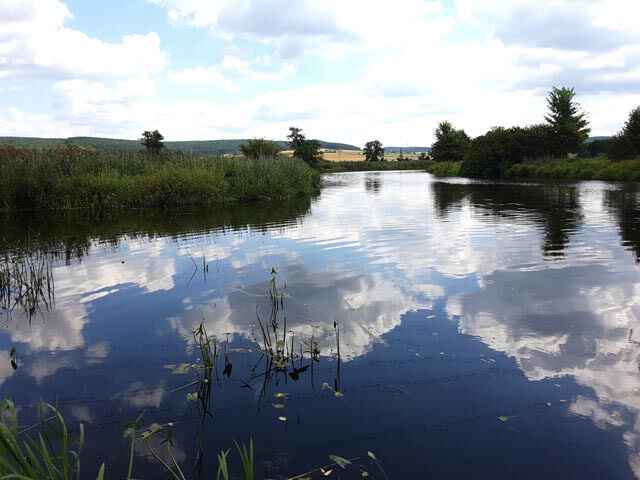 Waldnaab bei Weiden (F04)