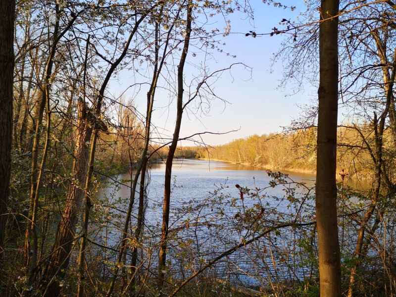 Tagebaurestloch bei Gostau (11-440-01)