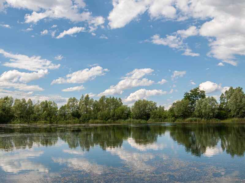 Kiesteich kleiner Behrenssee