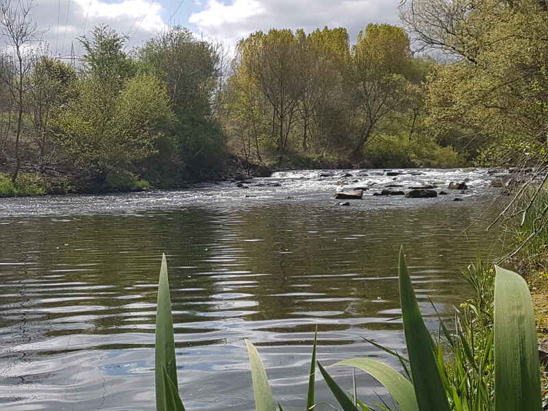 Nied bei Siersburg