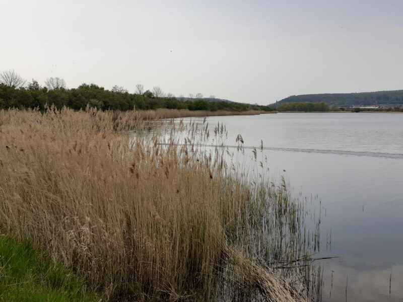 Kiessee K1 Bad Frankenhausen