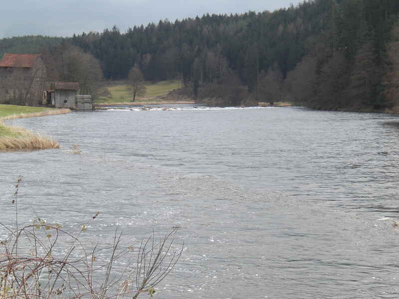 Regen-Dicherling