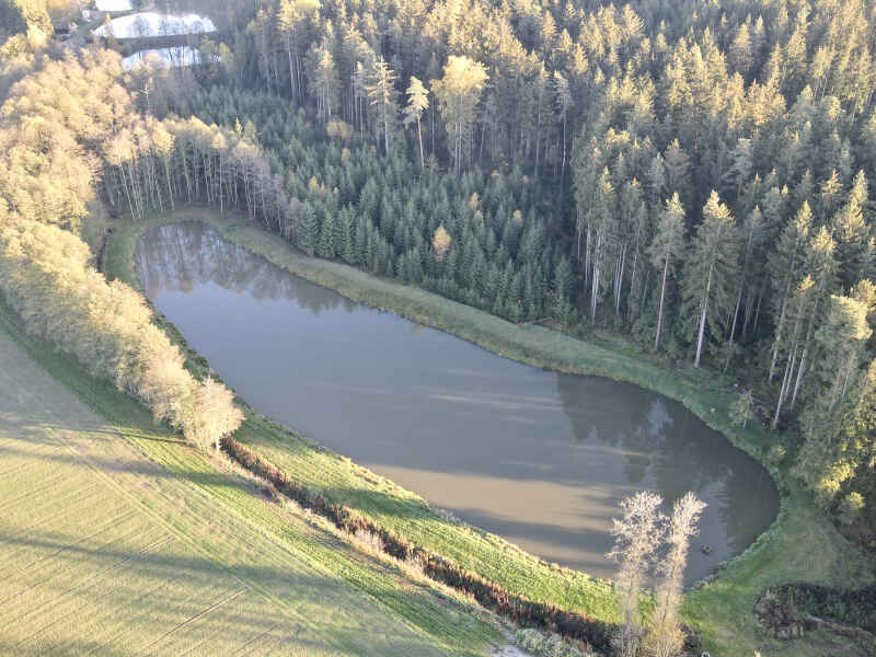 Schmiedweiher