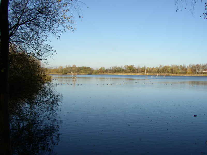 Moorhütten Teich