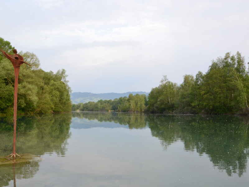 Revier 45 - Alter Rhein (Gewässerabschnitt 10 - Kopfloch)