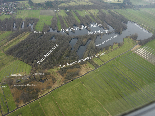 Moorgewässer Bockwisch