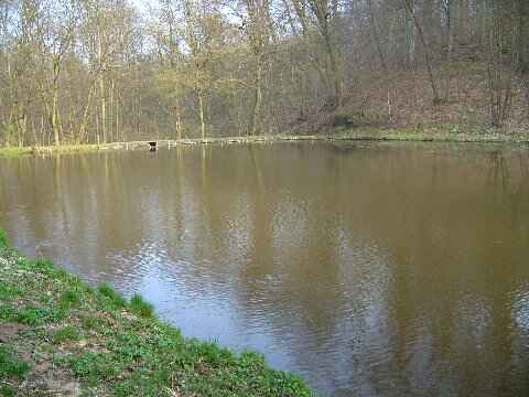 Mönchsteich Bischofrode (9-150-2)