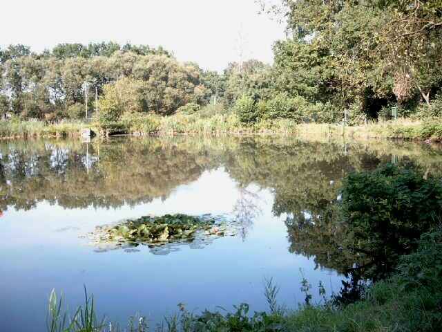 Nottensdorf 2
