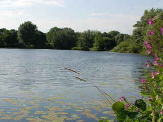 Großer Hemminger Teich