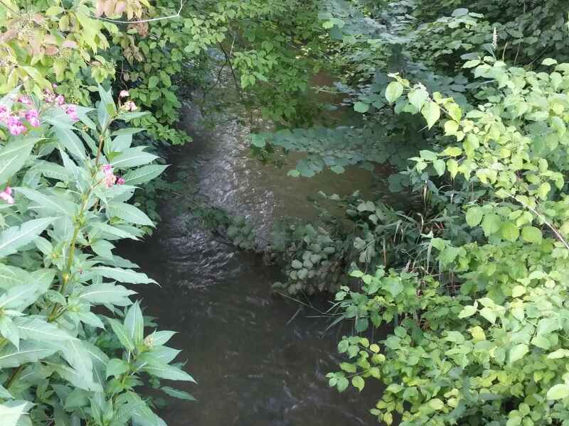 Wiesbach Mittelstetten