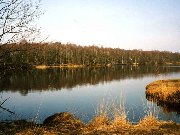 Kolk Königsmoor