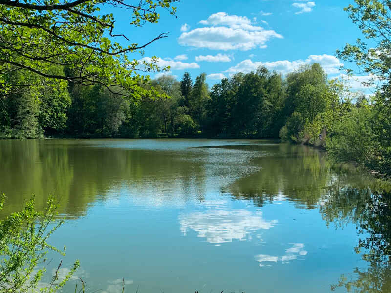 Weiherhausweiher 1