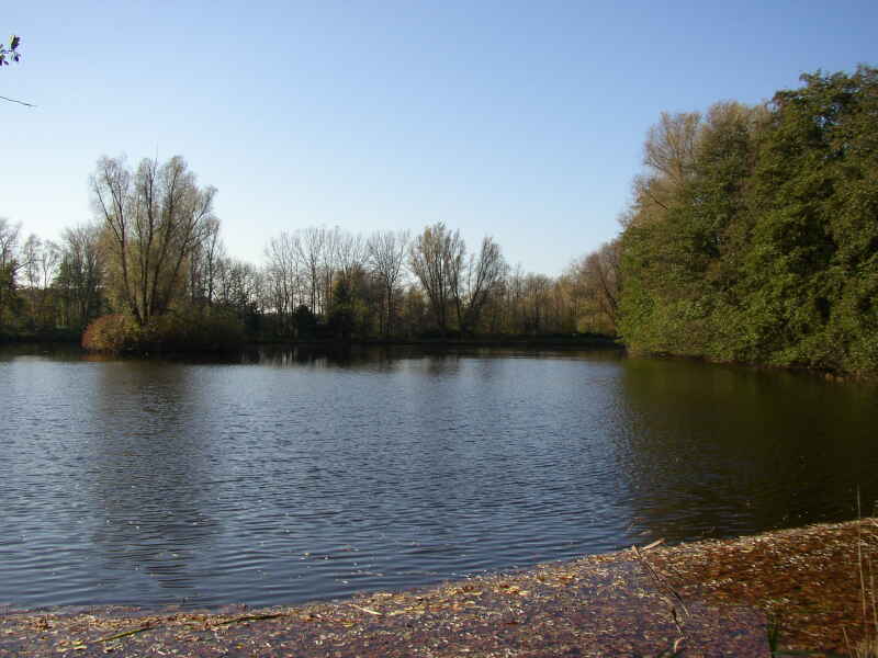 Quellenteich