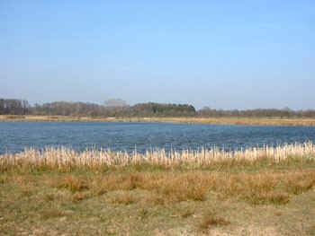 Rennplatzteich