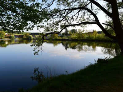 Weiher H5 (Reinhartshofer Weiher)