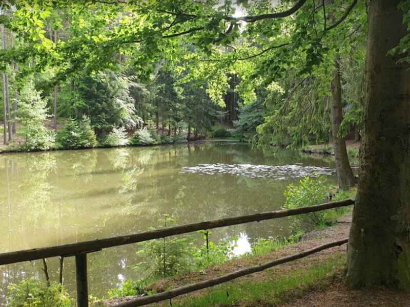 Komstkochteich (Waltershausen)