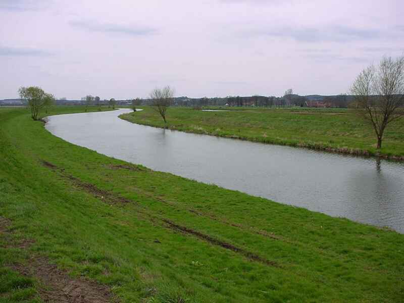 Hase bei Bramsche