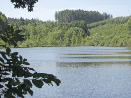 Hofweiher